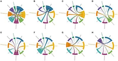 Anti-IgLON5 Disease: A Case With 11-Year Clinical Course and Review of the Literature